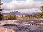 Salmon River