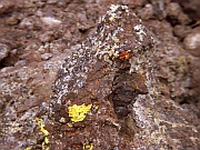 Craters Of The Moon