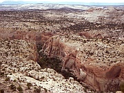 Dixie National Forest