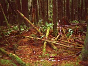 China Beach