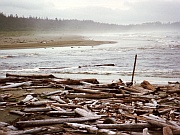 Combers Beach