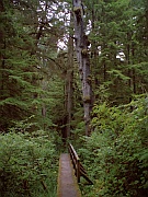Combers Beach