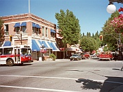 Nelson
