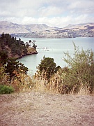 Lyttelton