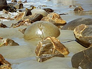 Moeraki Boulders