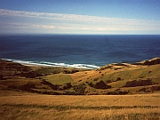 Otago Peninsula
