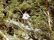 Haast Pass Trail