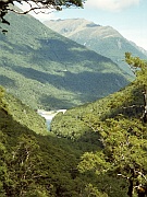 Haast Pass Trail