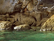 Abel Tasman National Park