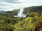 Pohutu Geyser