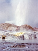 Pohutu Geyser