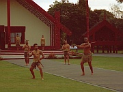 Te Whakarewarewa