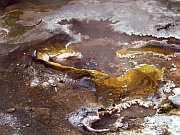 Waimangu