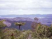 Coromandel Peninsula
