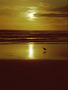 Baylys Beach