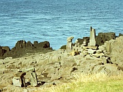 Brier Island