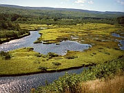 Cape Breton National Park