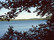Warren Lake