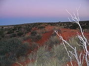 Kalahari