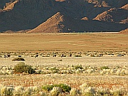 Tirasberge