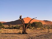 Sossusvlei