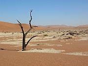 Dead Vlei