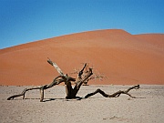 Düne 45