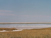 Etosha Pfanne