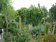 Kakteenpark