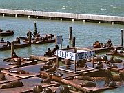 San Francisco – Pier 39