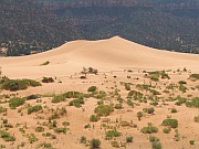 Coral Pink Sand Dunes