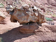 Capitol Reef National Park