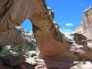 Capitol Reef National Park
