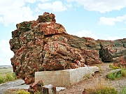 Giant Logs