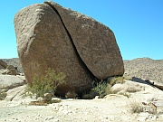 Joshua Tree National Park