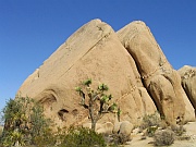 Joshua Tree National Park