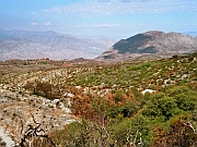 Palms To Pines Highway