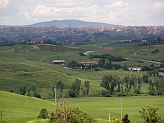 Siena