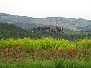 Greve in Chianti