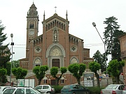Monforte d'Alba