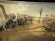 Drumheller