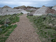 Dinosaur Provincial Park