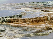 Mammoth Hot Springs