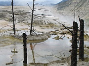 Mammoth Hot Springs