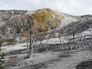 Mammoth Hot Springs