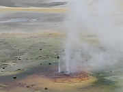 Norris Geyser Basin