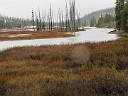Lewis Falls