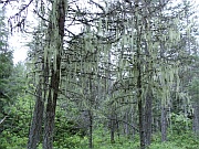 Johns Lake Trail