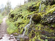 Sun Point Trail