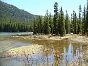 Akamina Lake